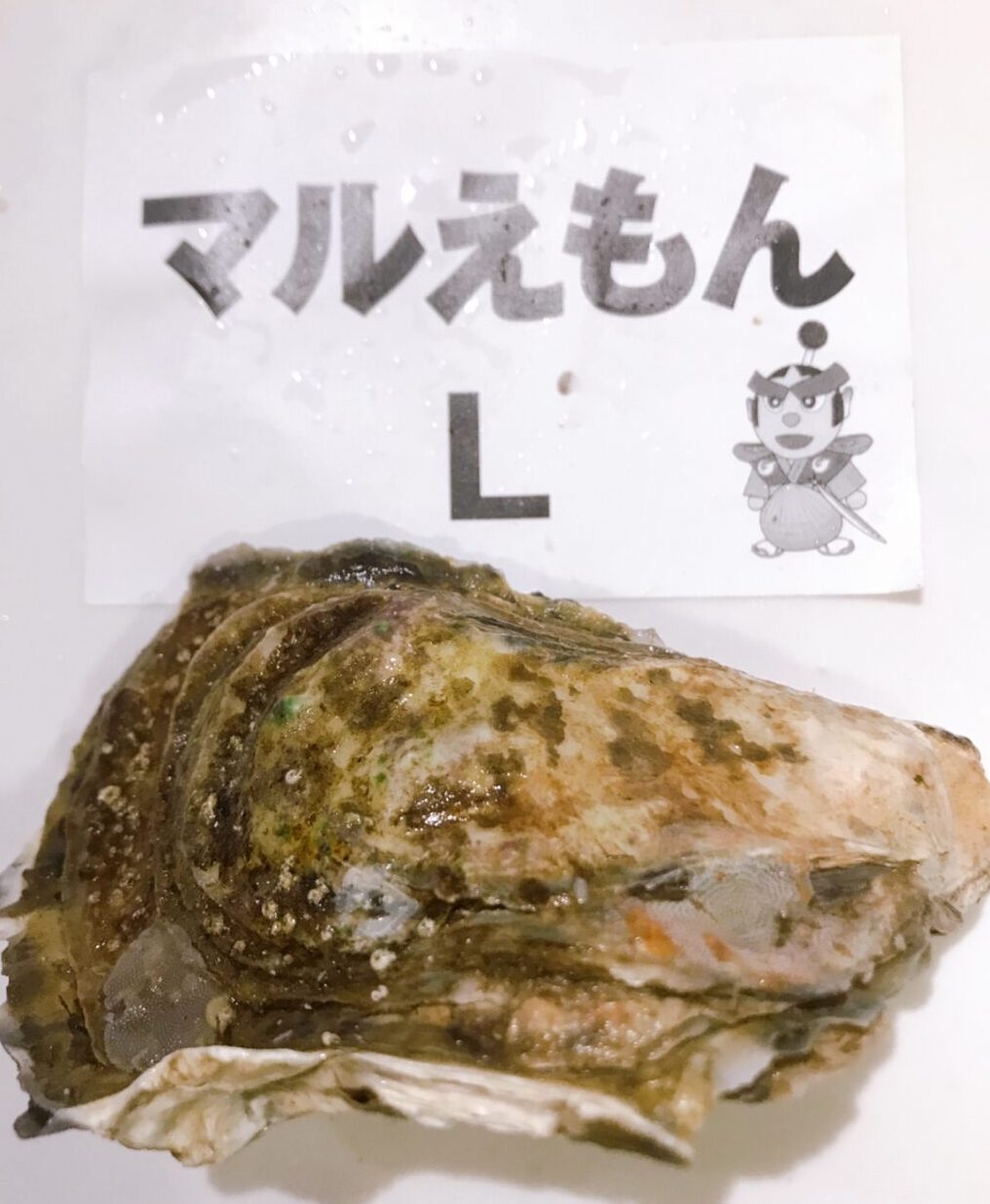 ふるさと納税：北海道厚岸町＞日本で唯一、１年中出荷可能！厚岸産牡蠣を食べ比べ【北海道厚岸産 殻かき三種食べ比べお試しセット】